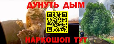 каннабис Уссурийск
