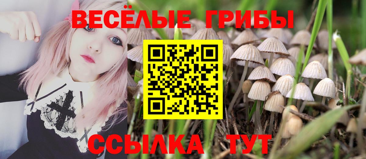 Галлюциногенные грибы Cubensis Нурлат