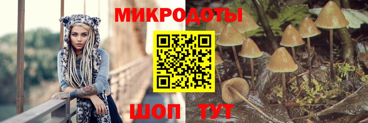 Галлюциногенные грибы MAGIC MUSHROOMS  Вход с VPN  сколько стоит  Нурлат 